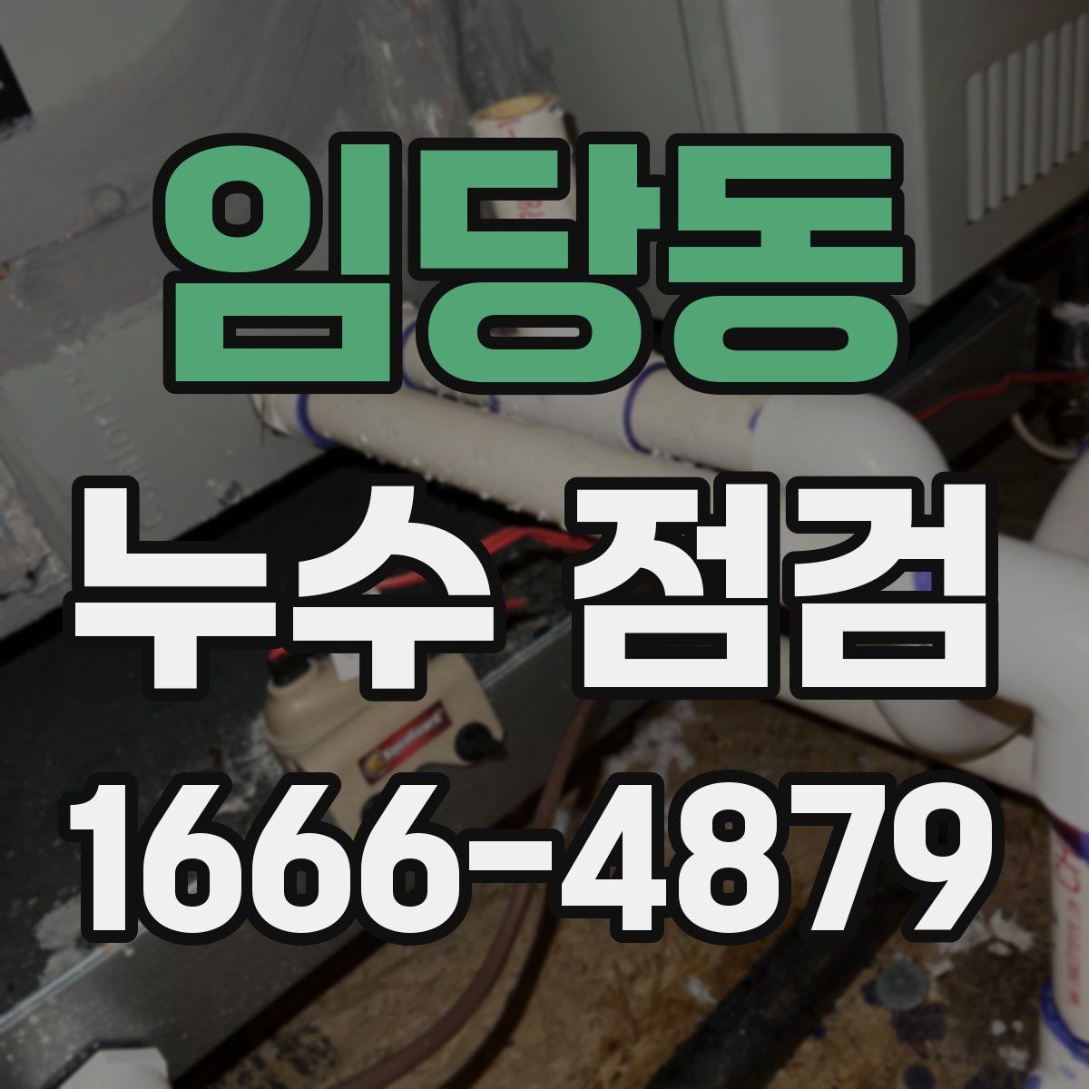 임당동 누수 점검