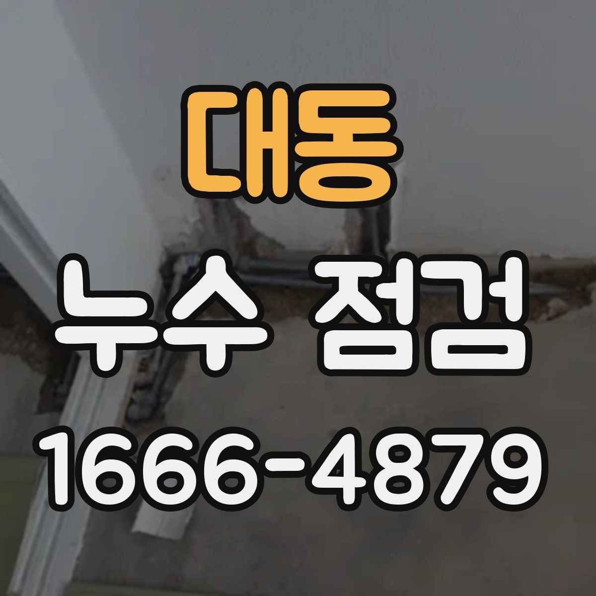 대동 누수 점검