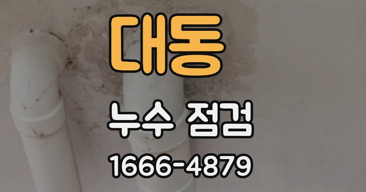 대동 누수 점검