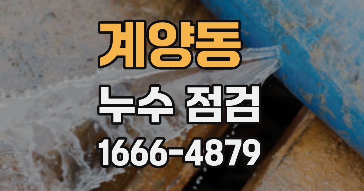 계양동 누수 점검