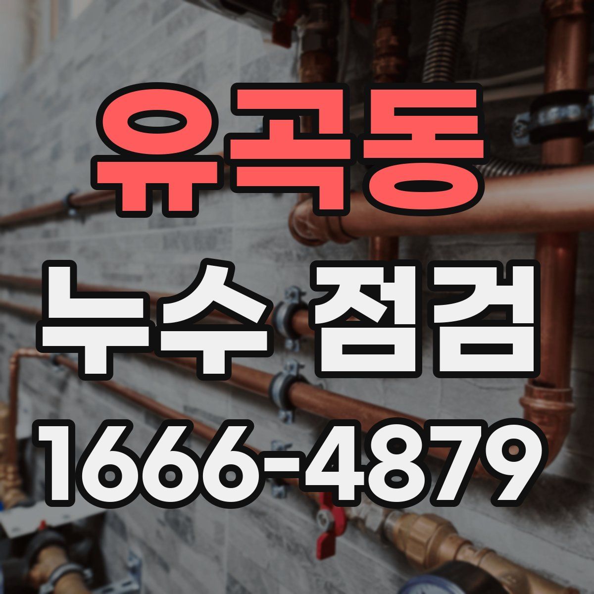 유곡동 누수 점검