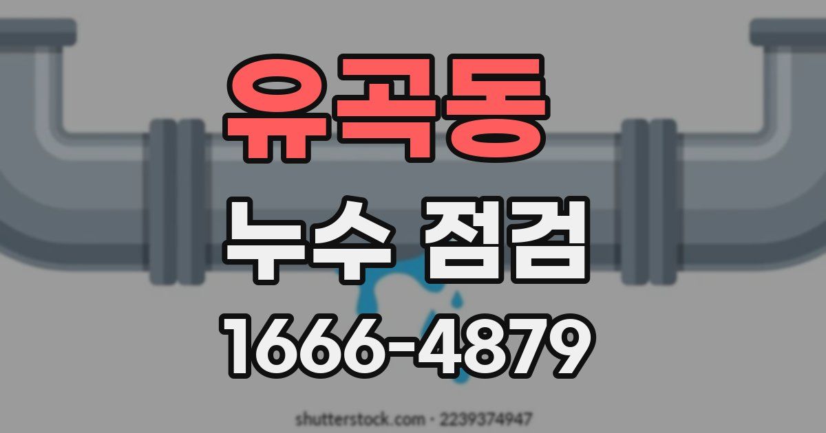 유곡동 누수 점검