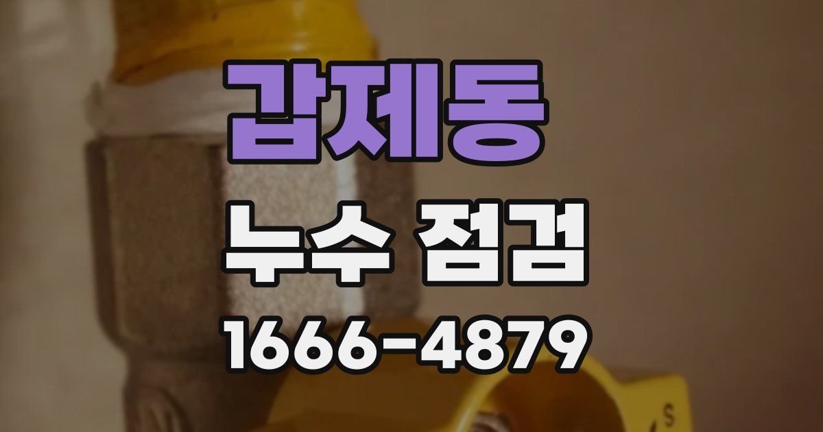갑제동 누수 점검
