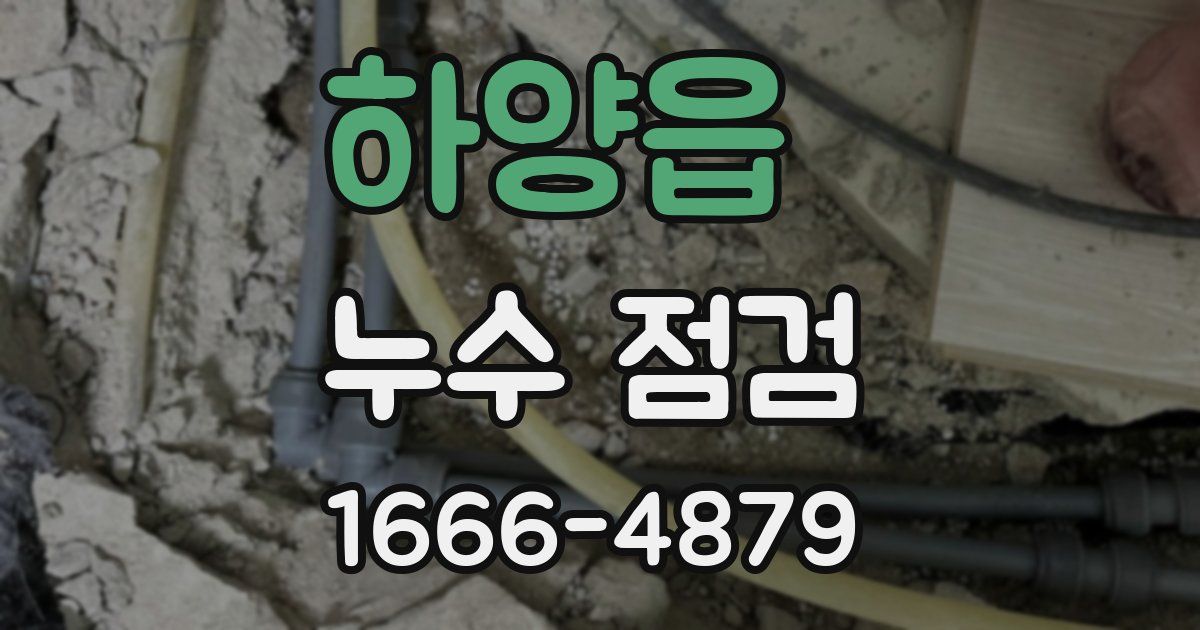 하양읍 누수 점검
