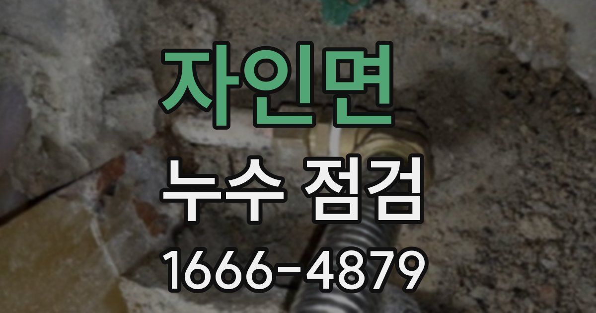 자인면 누수 점검