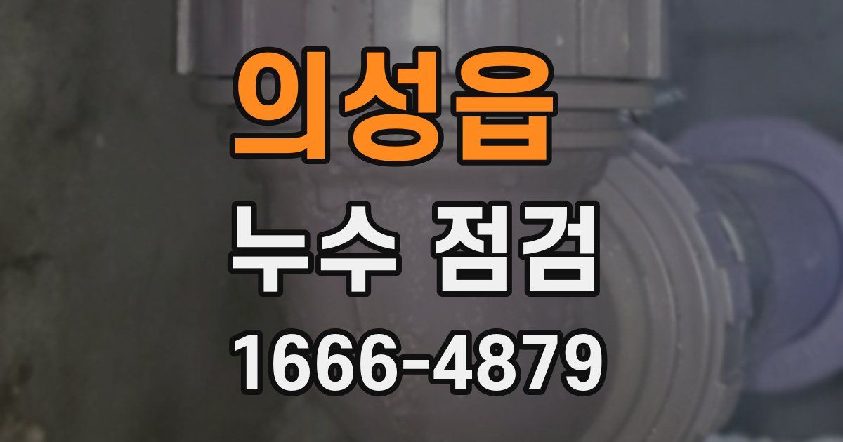 의성읍 누수 점검