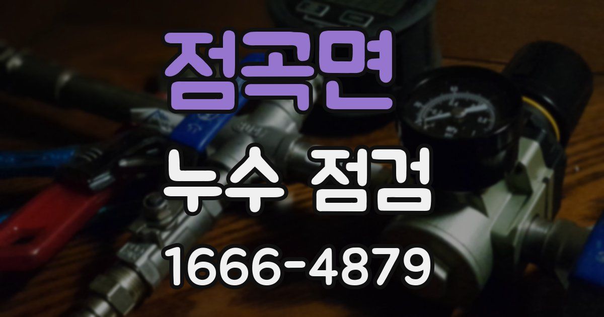 점곡면 누수 점검