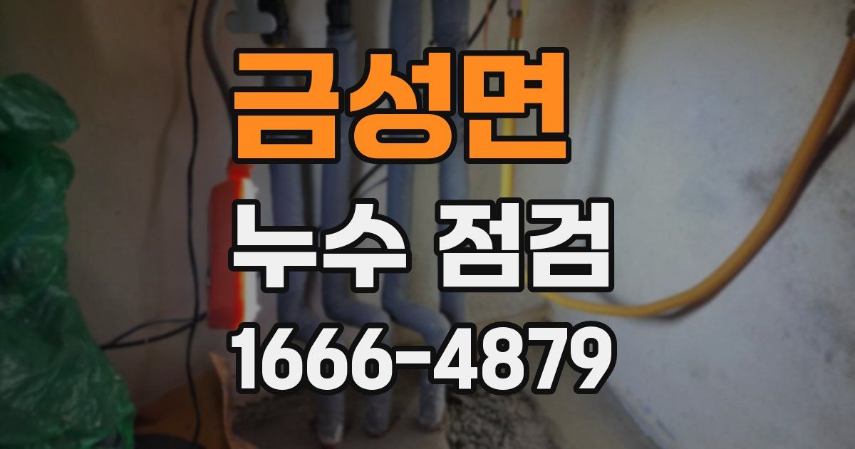 금성면 누수 점검