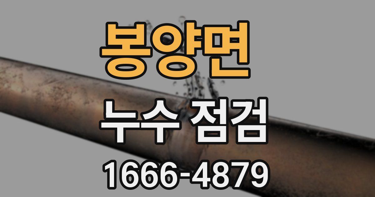 봉양면 누수 점검