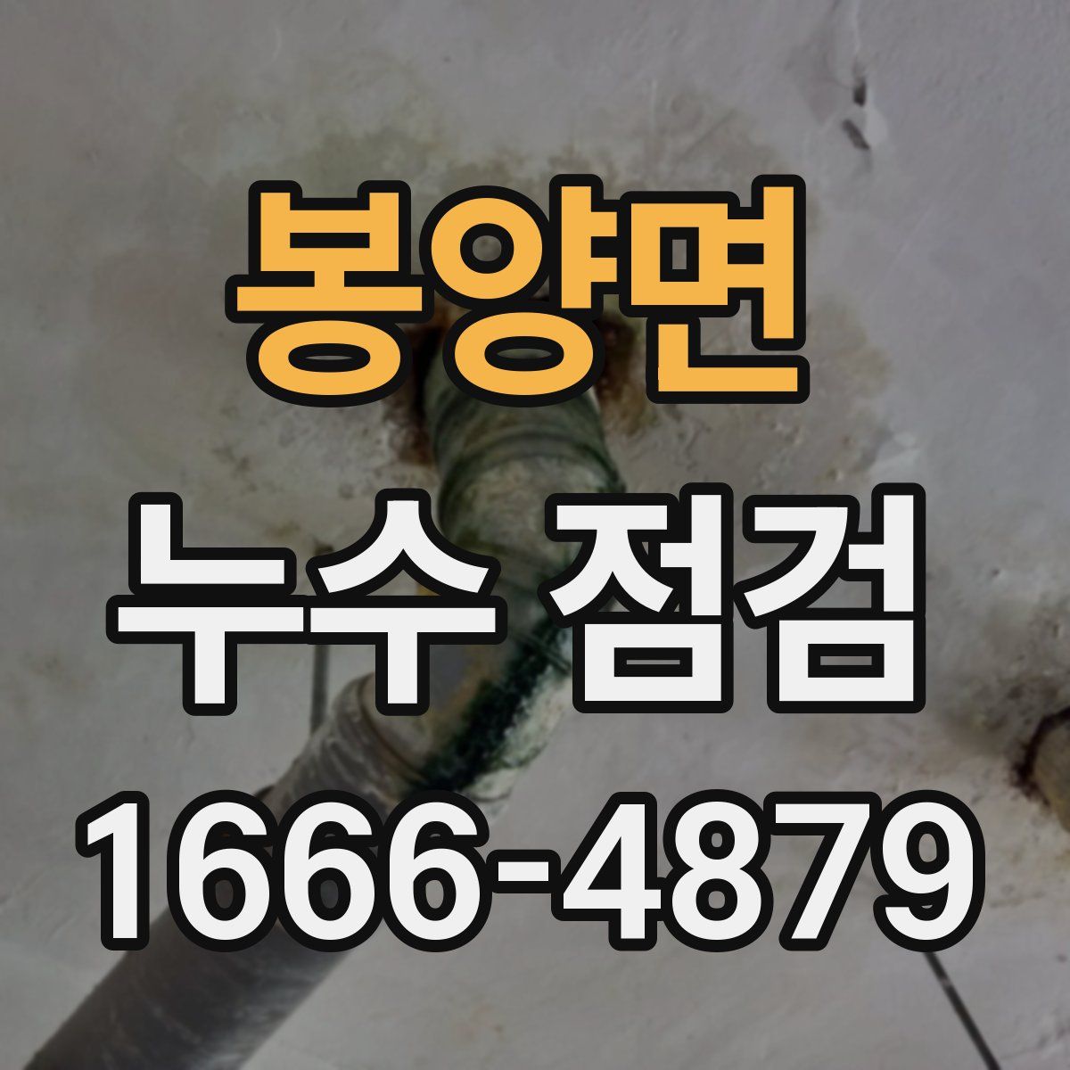 봉양면 누수 점검