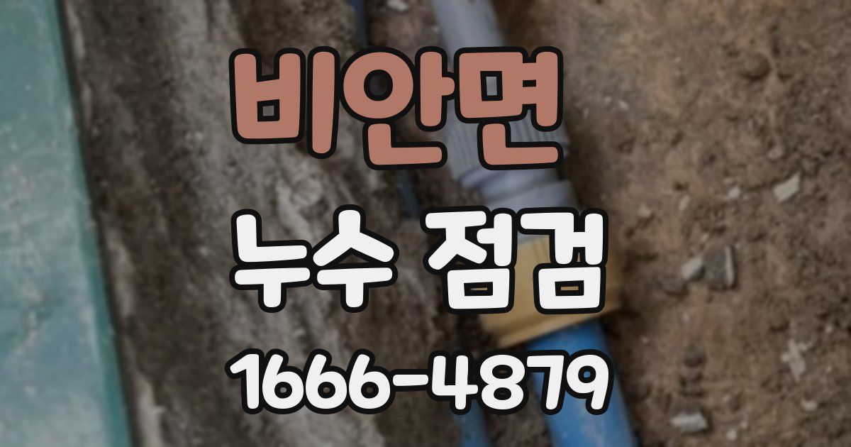 비안면 누수 점검