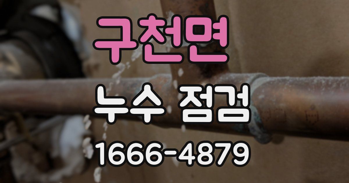 구천면 누수 점검