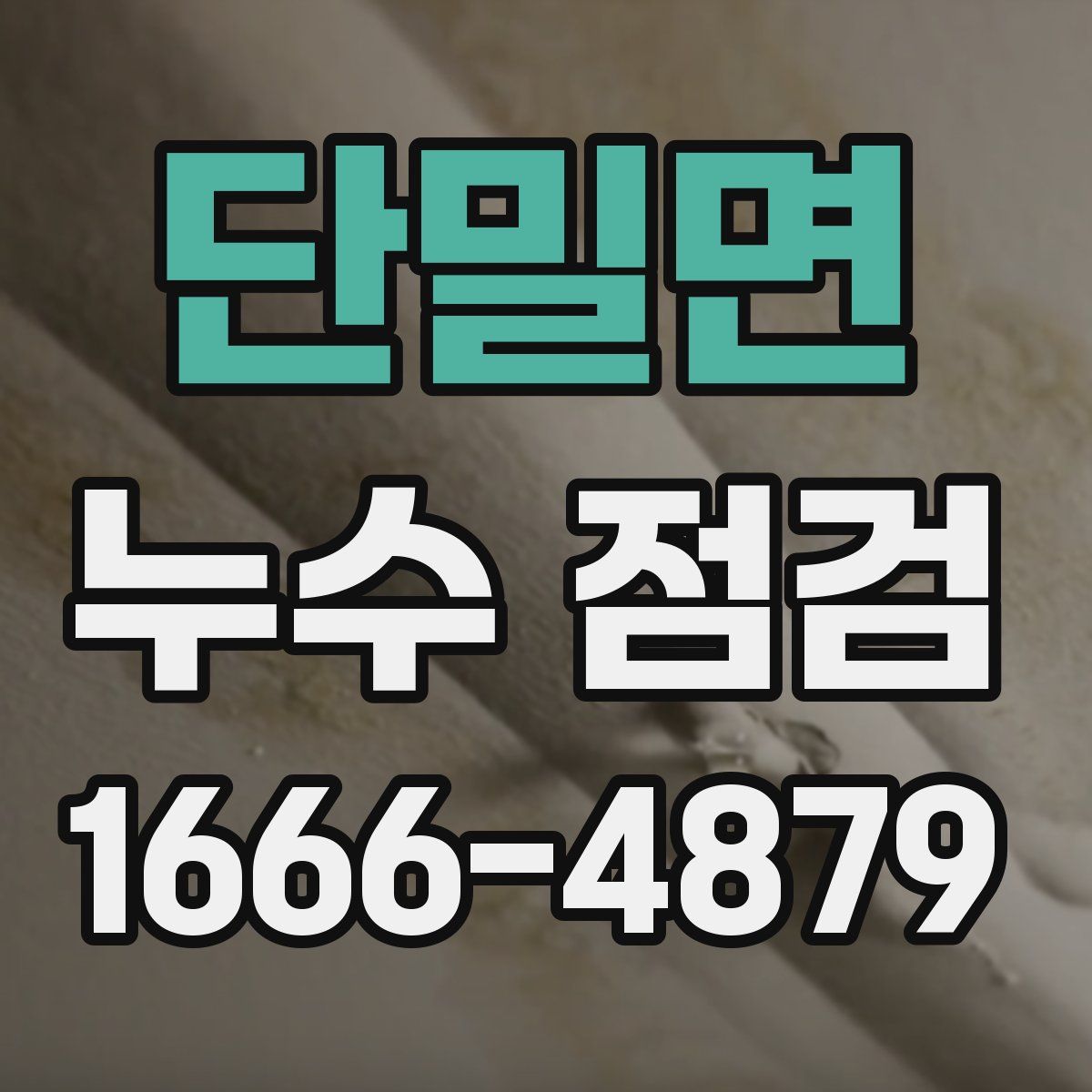 단밀면 누수 점검