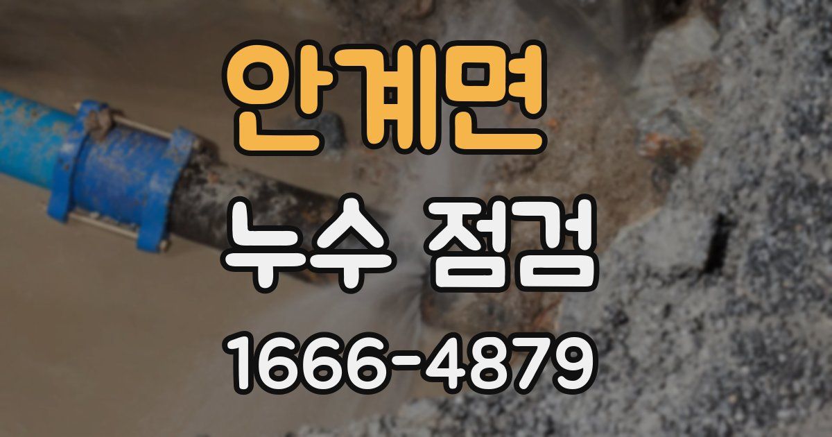 안계면 누수 점검