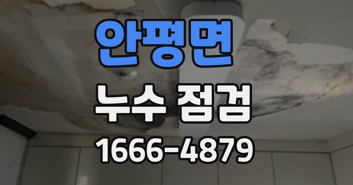 안평면 누수 점검