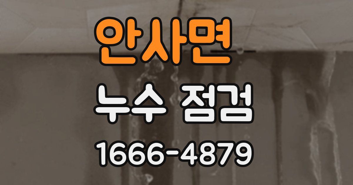안사면 누수 점검