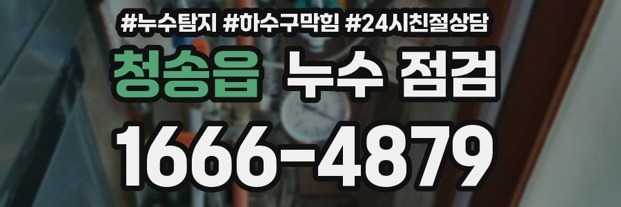 청송읍 누수 점검