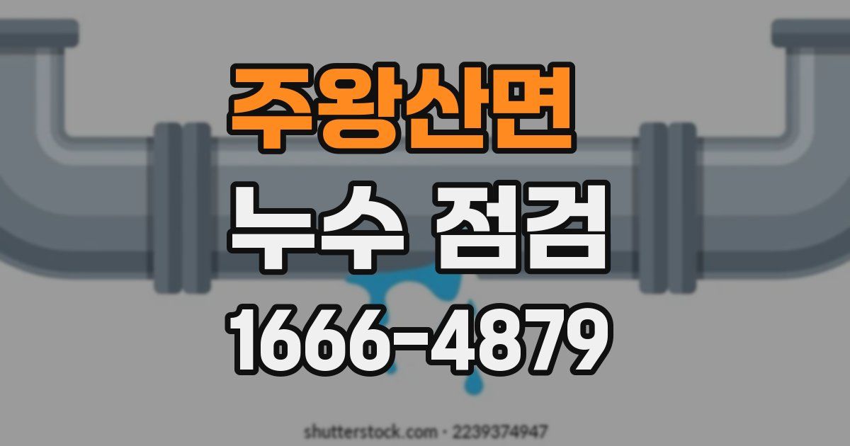 주왕산면 누수 점검
