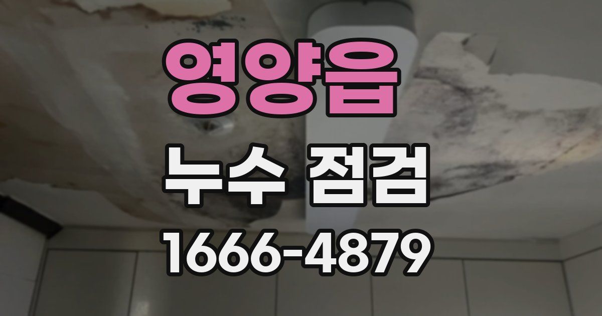 영양읍 누수 점검