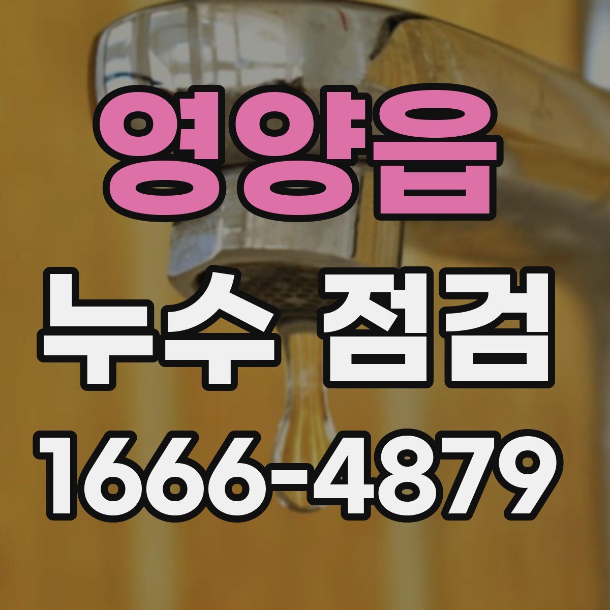 영양읍 누수 점검