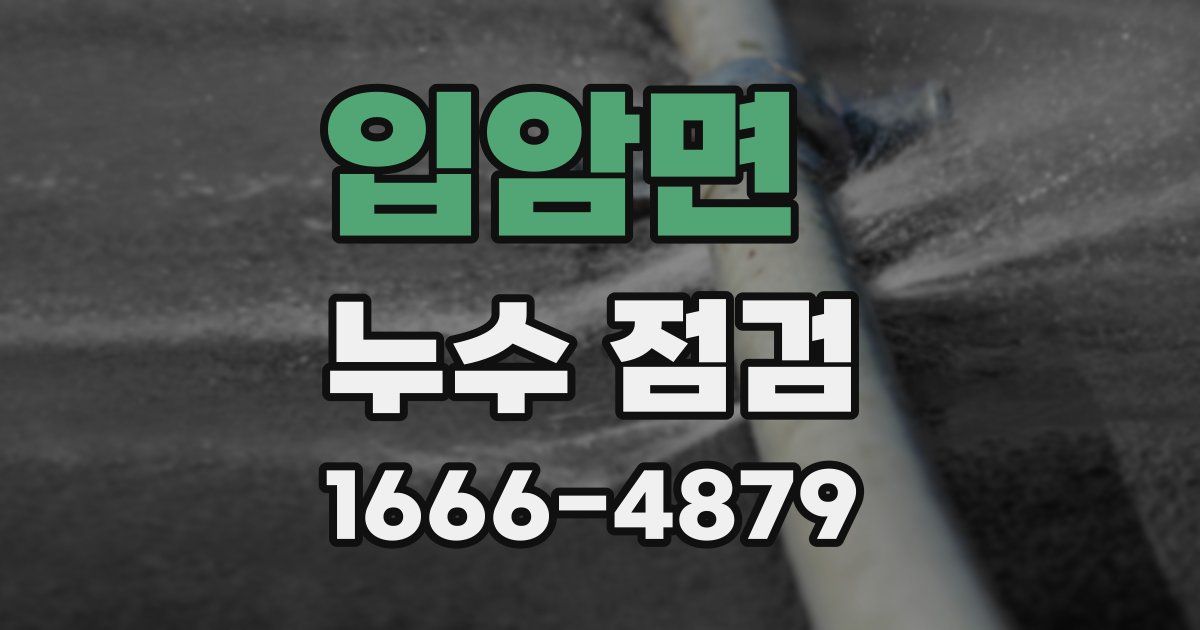 입암면 누수 점검