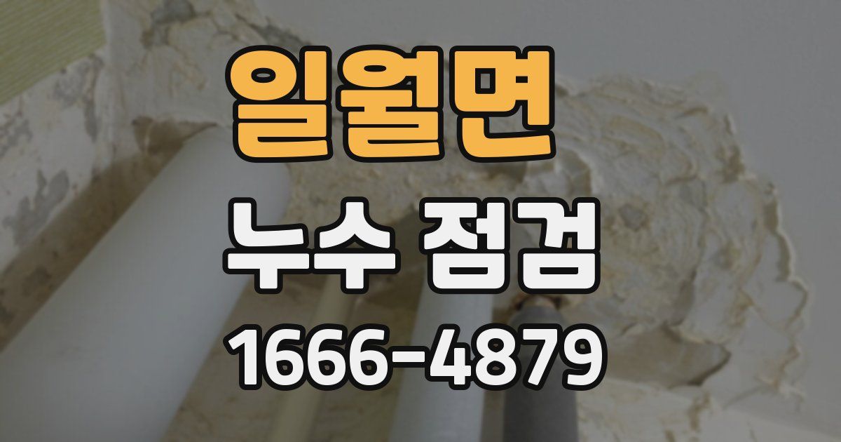 일월면 누수 점검