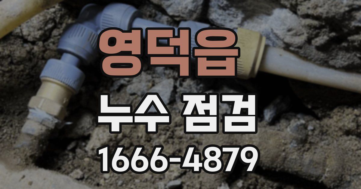 영덕읍 누수 점검