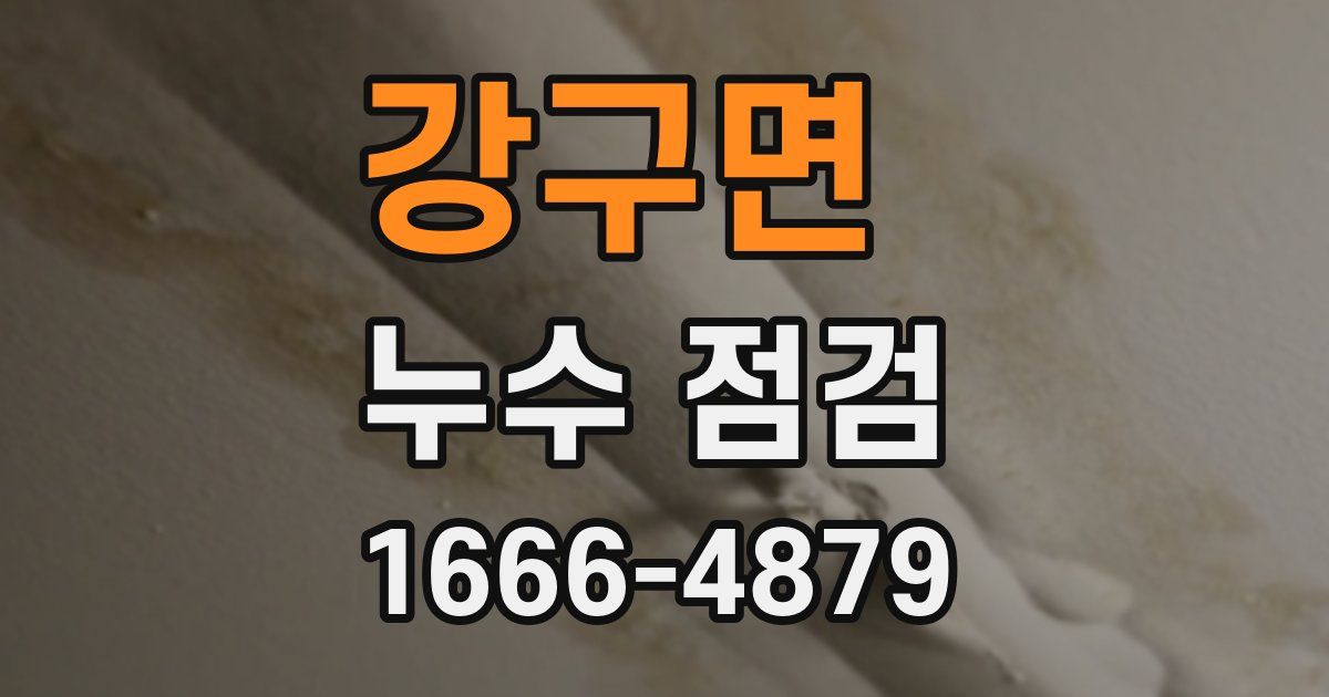강구면 누수 점검