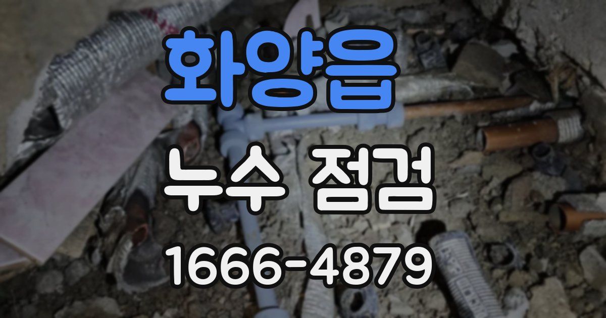 화양읍 누수 점검