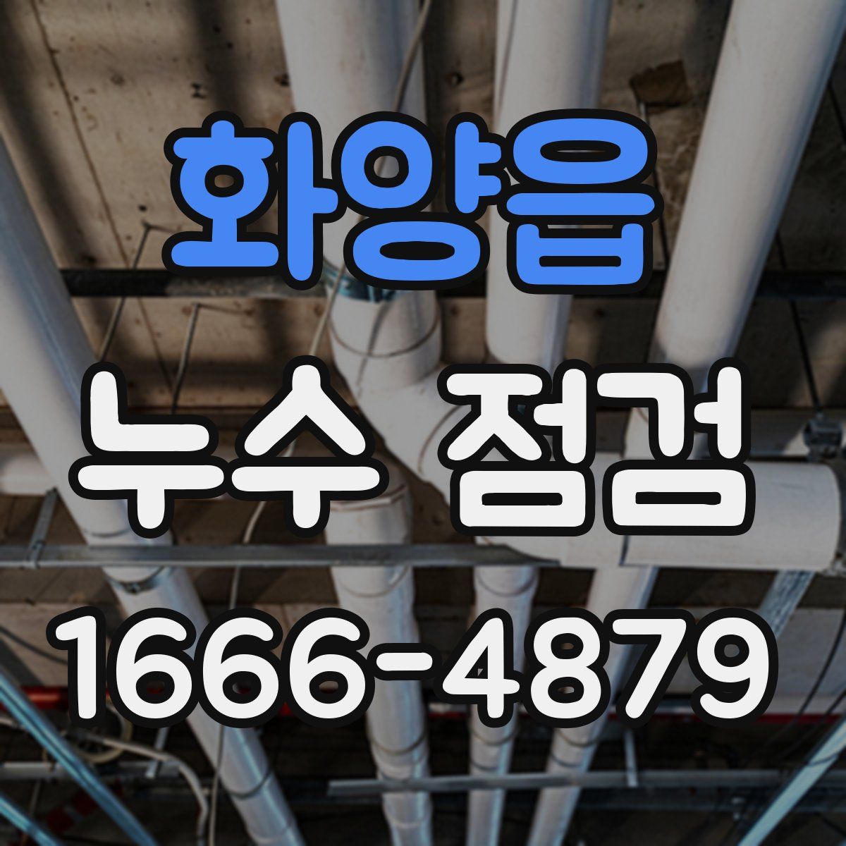 화양읍 누수 점검