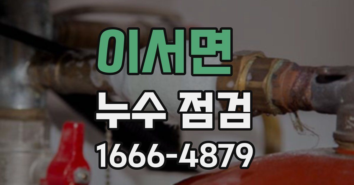 이서면 누수 점검