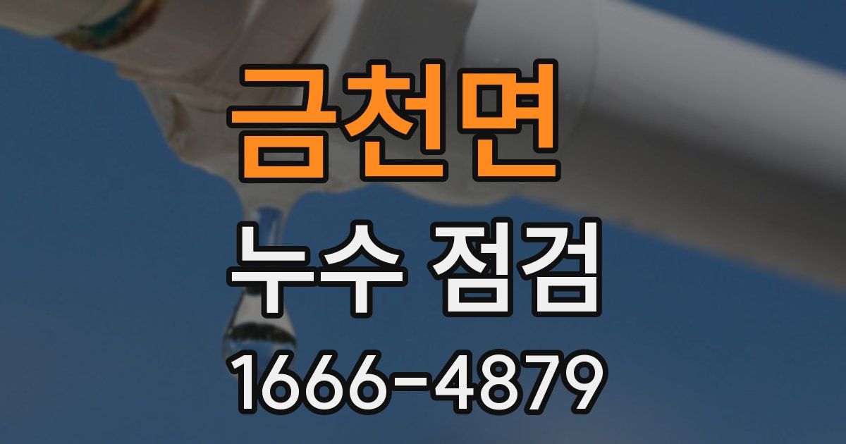 금천면 누수 점검