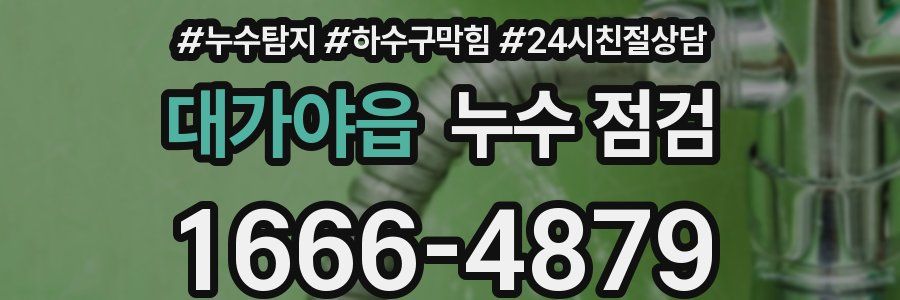 대가야읍 누수 점검