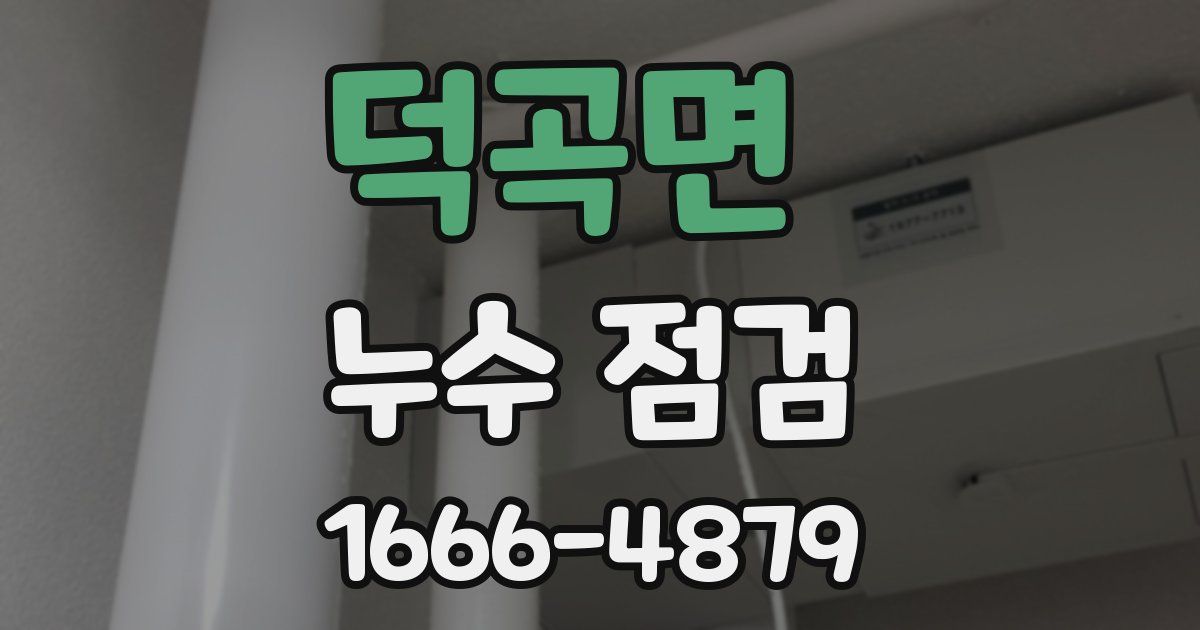덕곡면 누수 점검