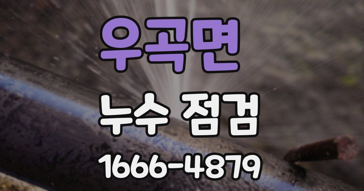 우곡면 누수 점검