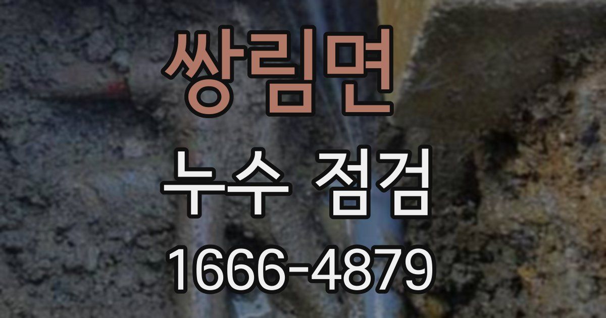 쌍림면 누수 점검