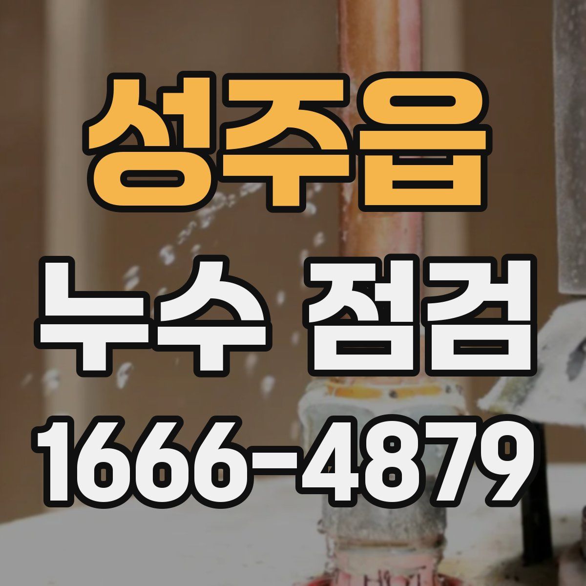 성주읍 누수 점검