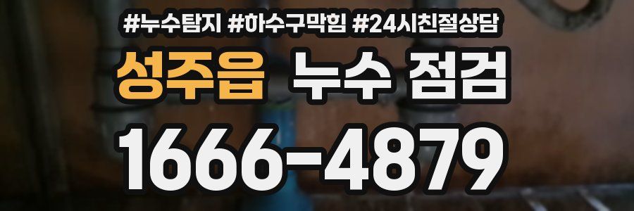 성주읍 누수 점검