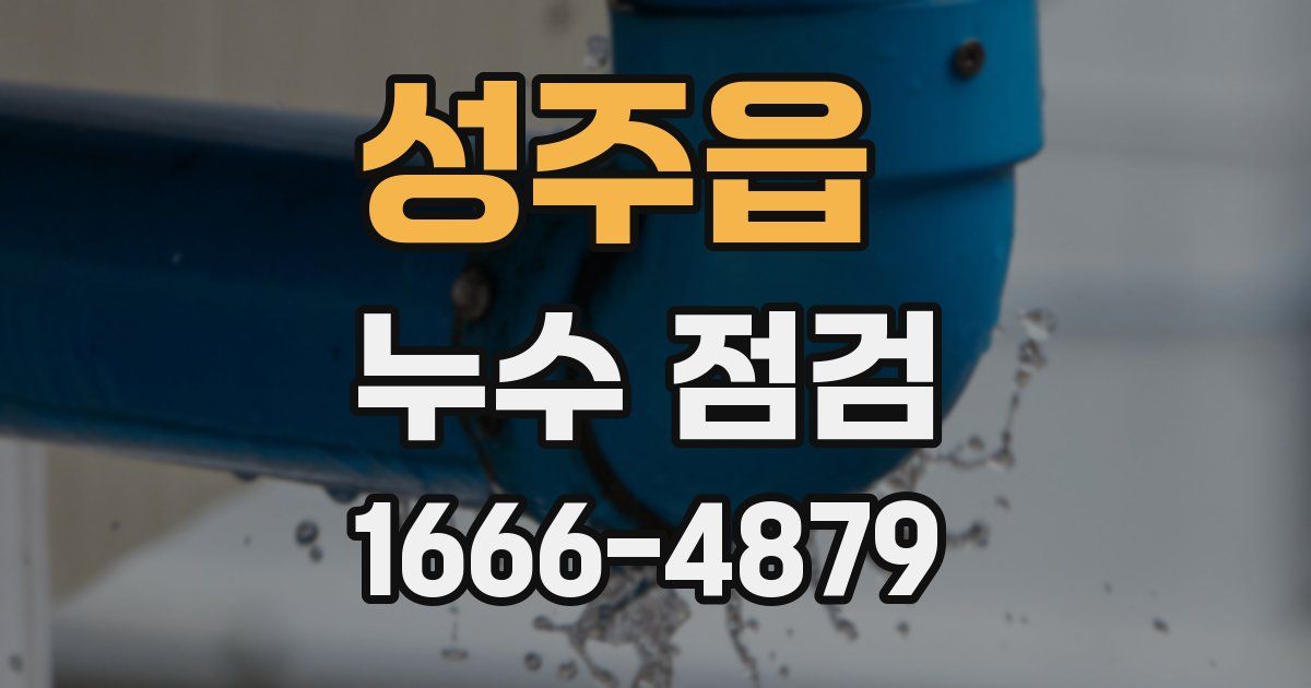 성주읍 누수 점검
