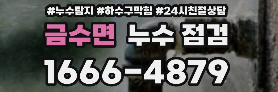 금수면 누수 점검
