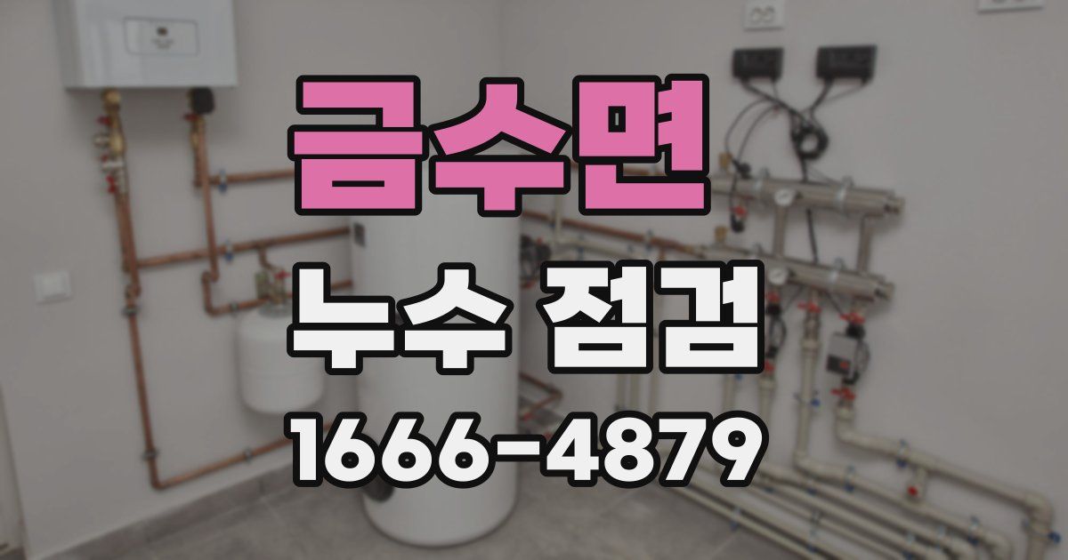 금수면 누수 점검