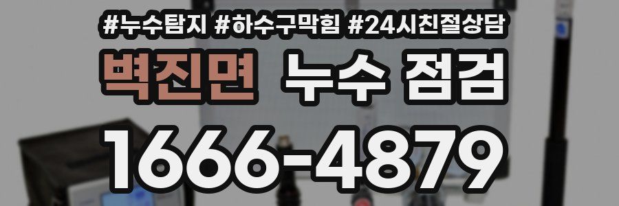 벽진면 누수 점검
