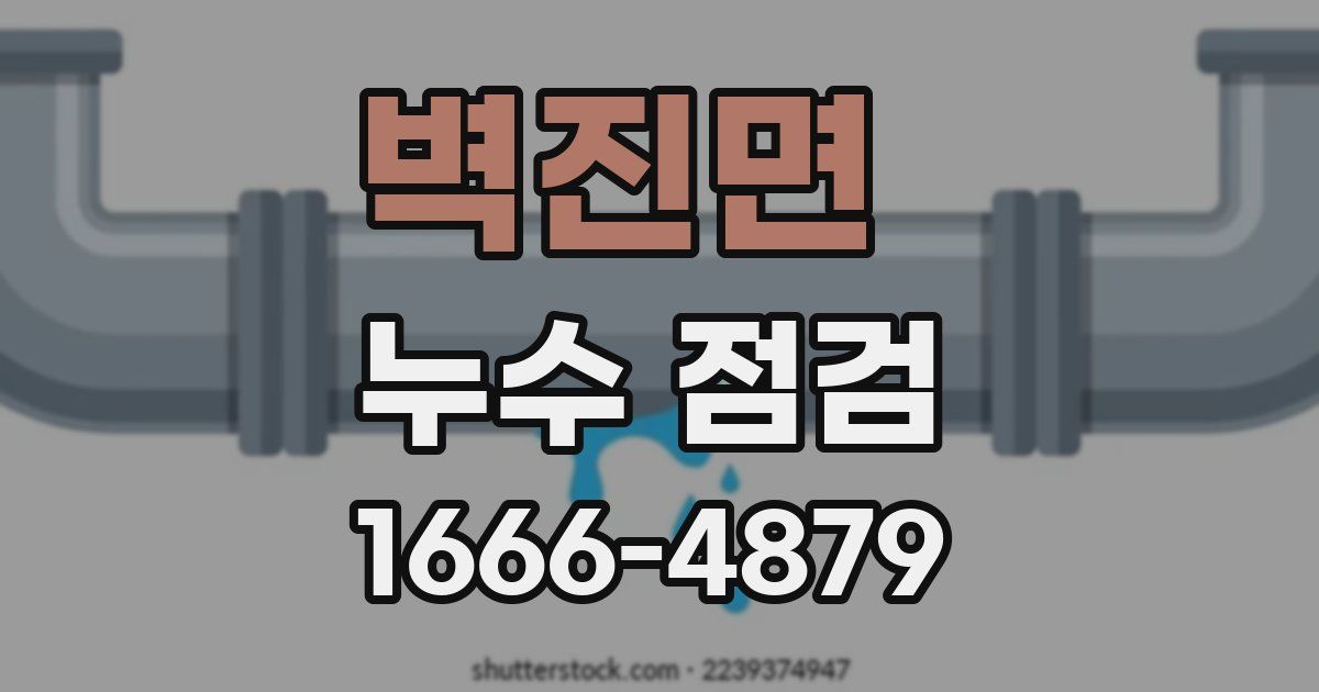 벽진면 누수 점검