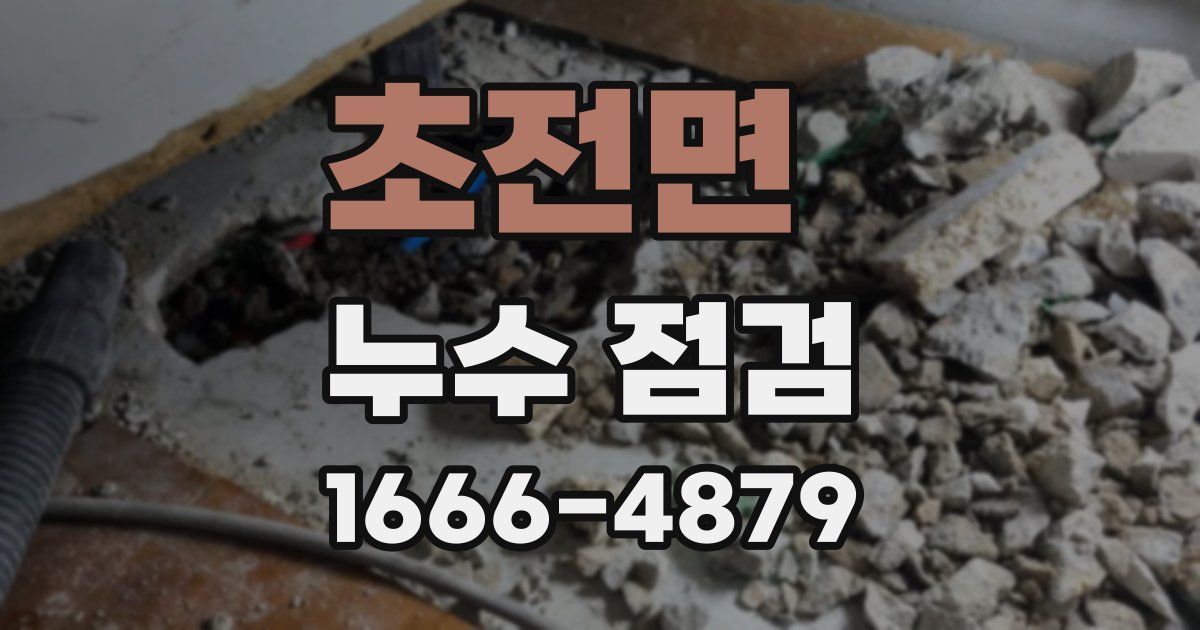 초전면 누수 점검