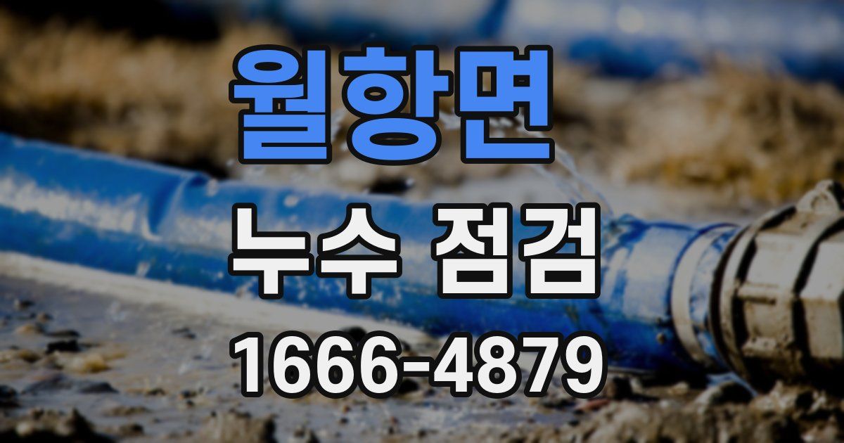 월항면 누수 점검
