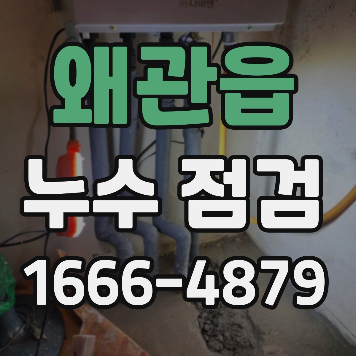왜관읍 누수 점검