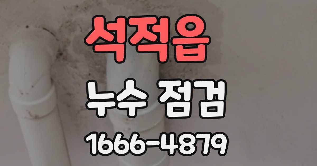 석적읍 누수 점검