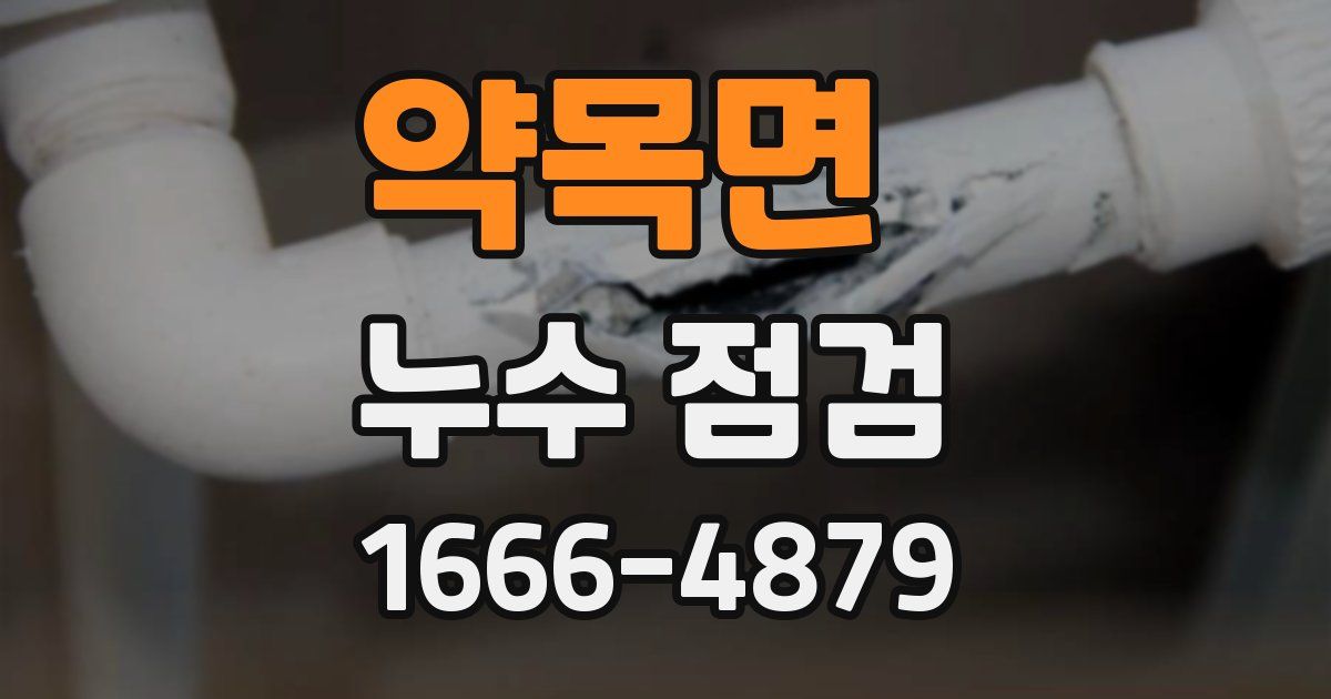 약목면 누수 점검