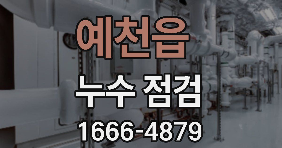 예천읍 누수 점검