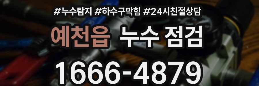 예천읍 누수 점검